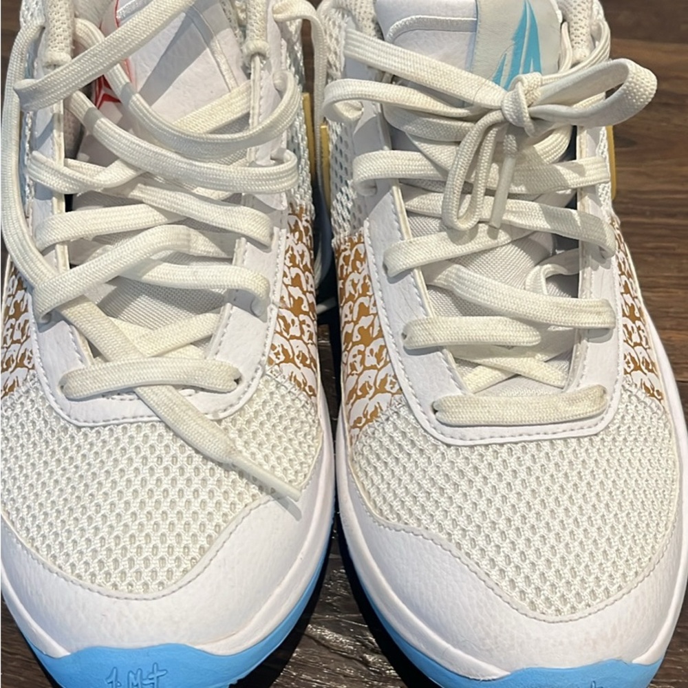 Nike Men's Yes/Ja 1 Kaari 12 Basketball Shoe